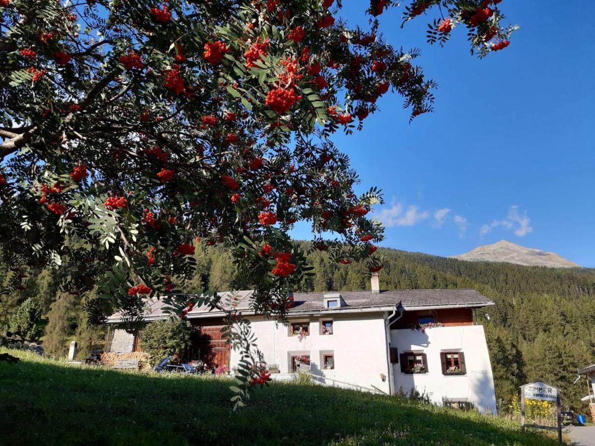 Fuldera Daint Chasa Zanoli Whg Im Zweiten Stock Εξωτερικό φωτογραφία